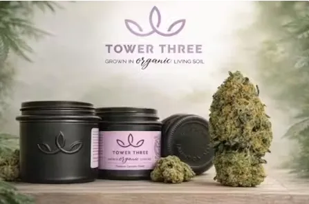 Blooperz by Tower Three