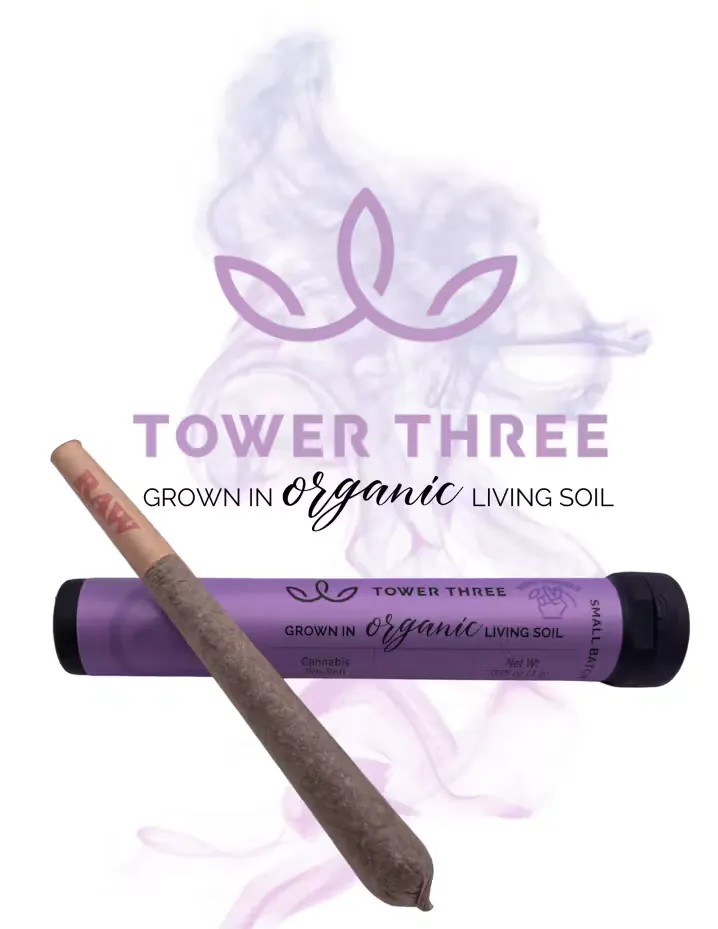 Romulan Pre-Roll by Tower Three