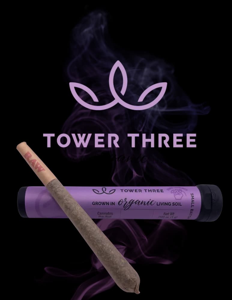 Zsunami Pre-roll by Tower Three