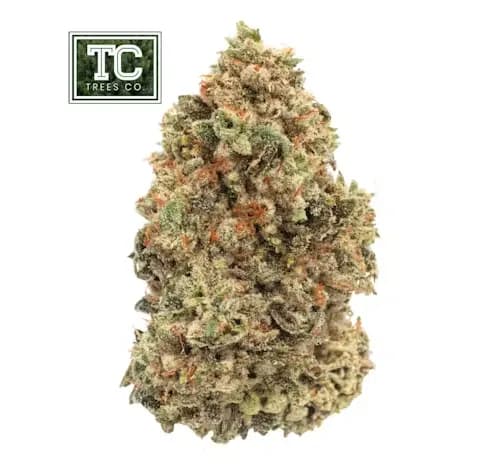 Dark Matter by Trees Co.