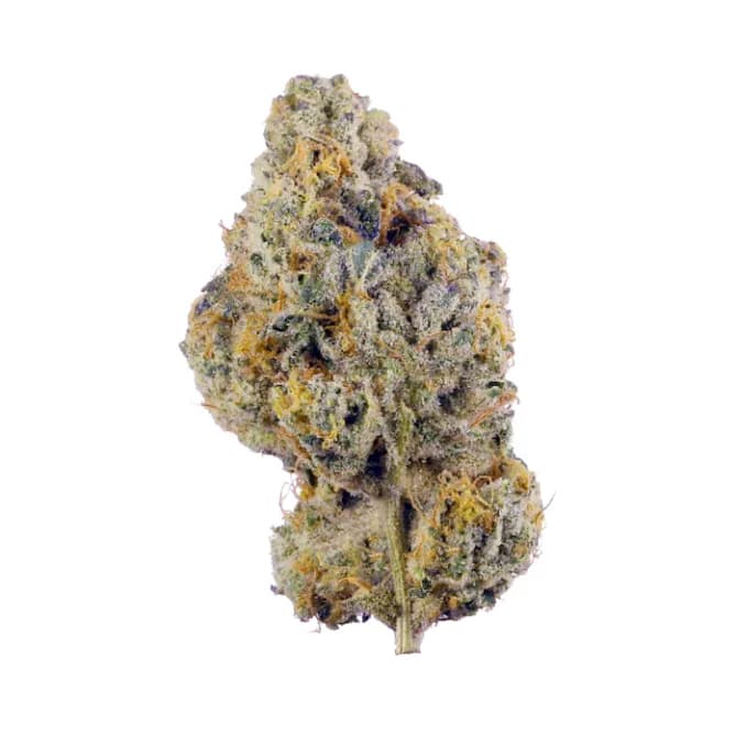 Garlic Runtz by Trees Co.