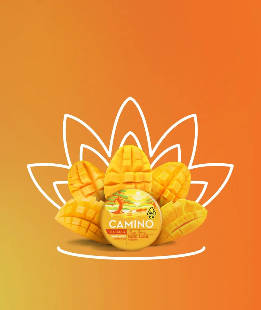 1:1 CBD:THC Mango Serenity Gummies by Camino, edible