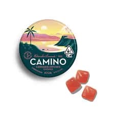 Watermelon Lemonade Gummies by Camino, edible