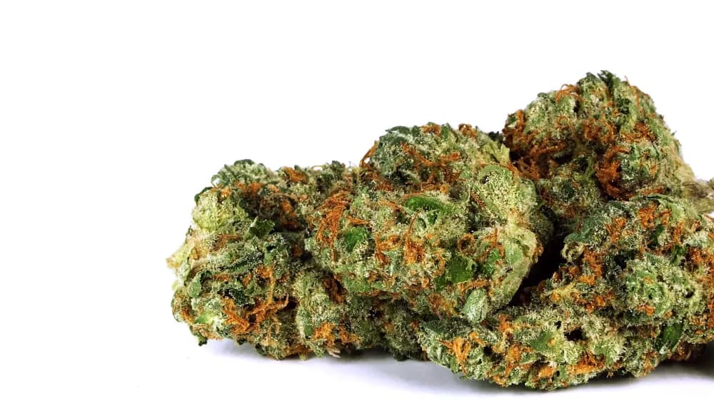 Kush Cream by Diem Farms, flower