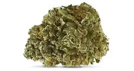 Pineapple Under the Sea by Diem Farms, flower