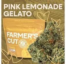 Pink Lemonade Gelato by Farmer's Cut, flower