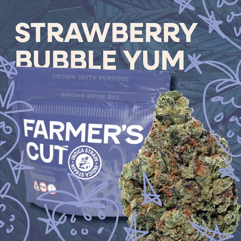 Strawberry Bubble Yum by Farmer's Cut, flower