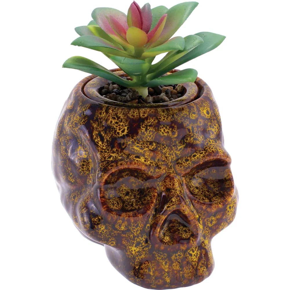 Skull Planter Stash Jar by Fujima
