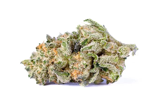 LA Baker by Garcia Hand Picked, flower