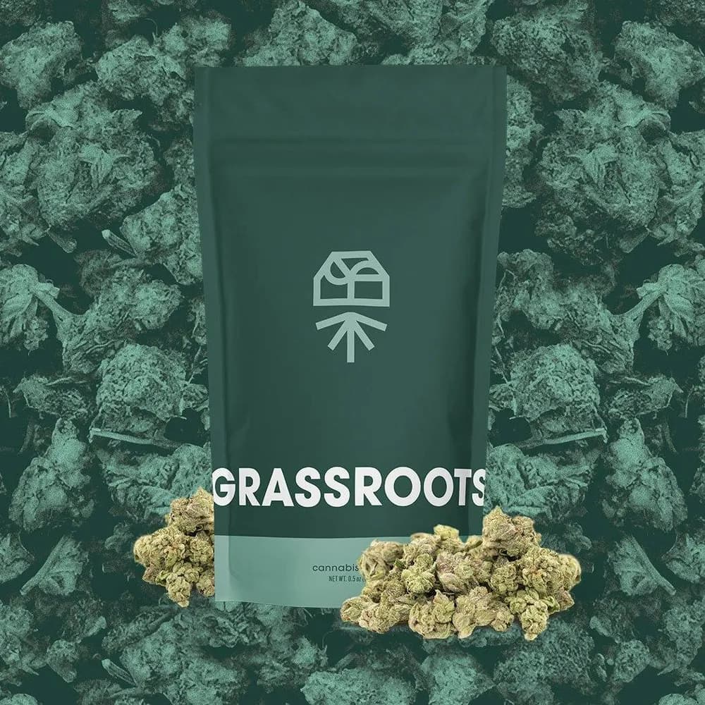 Zesty Garlic Cookies Popcorn by Grassroots