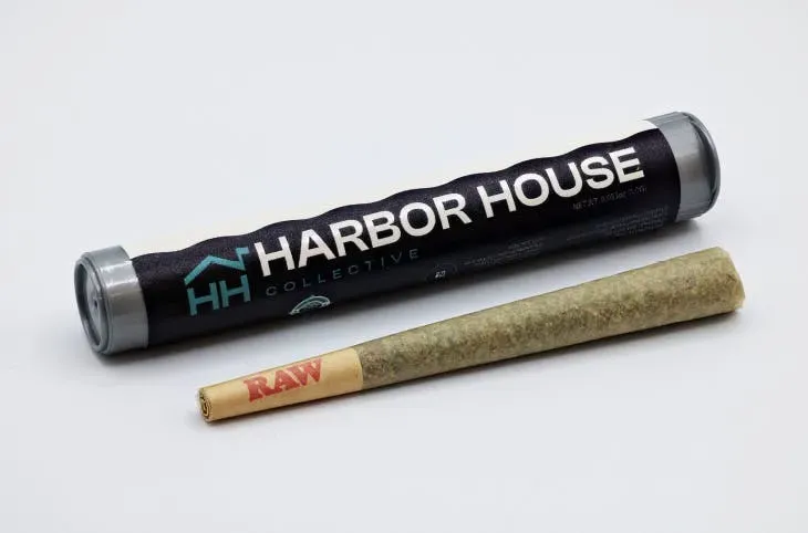 GMO Pre-roll by Harbor House Collective, pre-roll