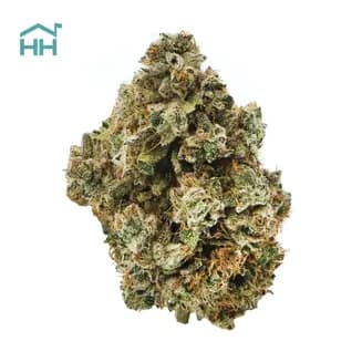 Grape Cream Cake by Harbor House Collective, flower