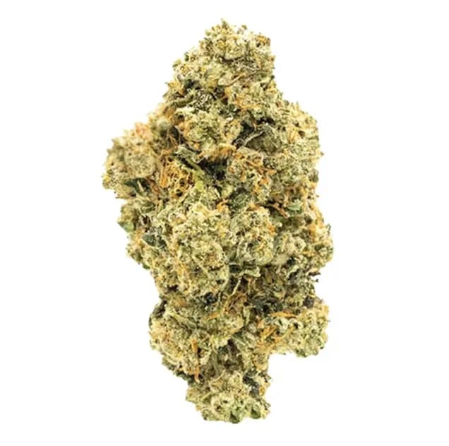 Kosher Kush by Harbor House Collective, flower