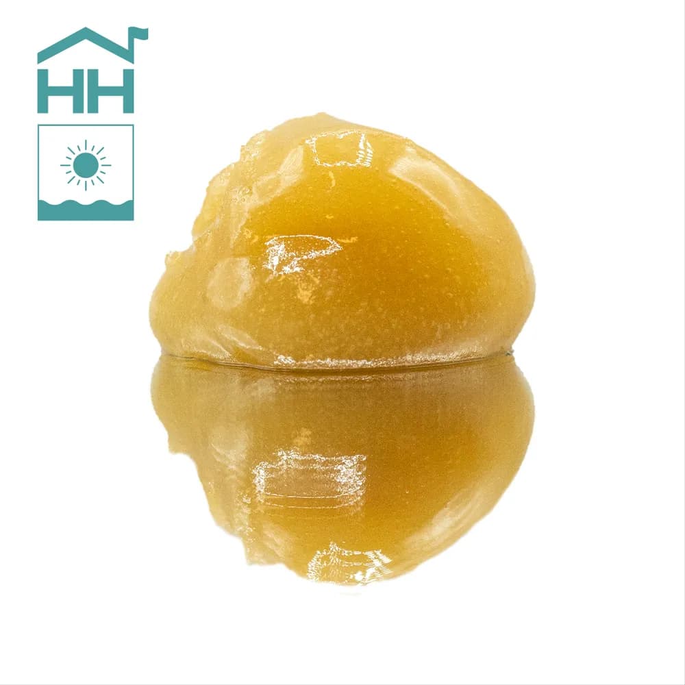 Lions Breath Badder by Harbor House Collective, concentrate