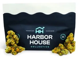 Super Boof by Harbor House Collective, flower