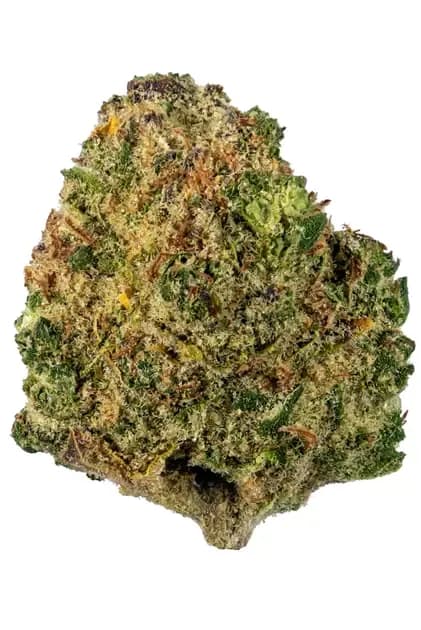 Chocolate OG by High Supply, flower