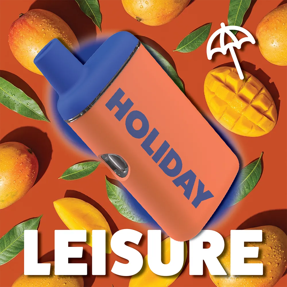 Leisure Disposable Vape by HOLIDAY, vape