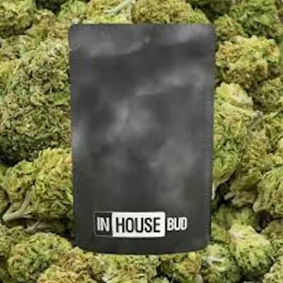 Double Stuffed by InHouse, flower
