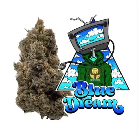 Blue Dream by Lazy River Products, flower