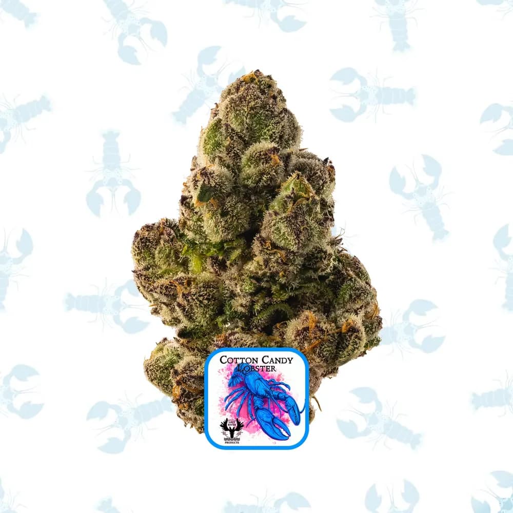 Cotton Candy Lobster Popcorn by Lazy River Products, flower