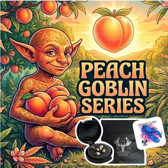 Peach Lobster Seeds by Lazy River Products