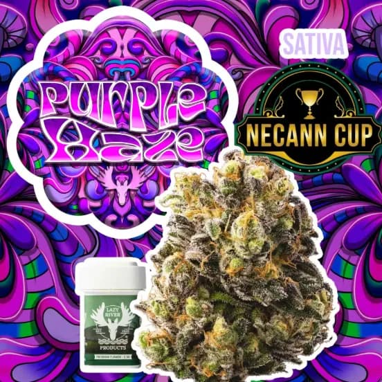 Purple Haze by Lazy River Products, flower