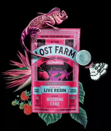 Wedding Cake x Raspberry Gummies by Lost Farm, edible