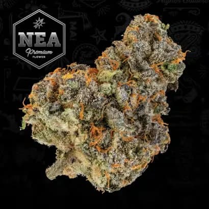 Heavy Eye by NEA, flower