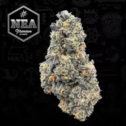 Pinnacle by NEA, flower
