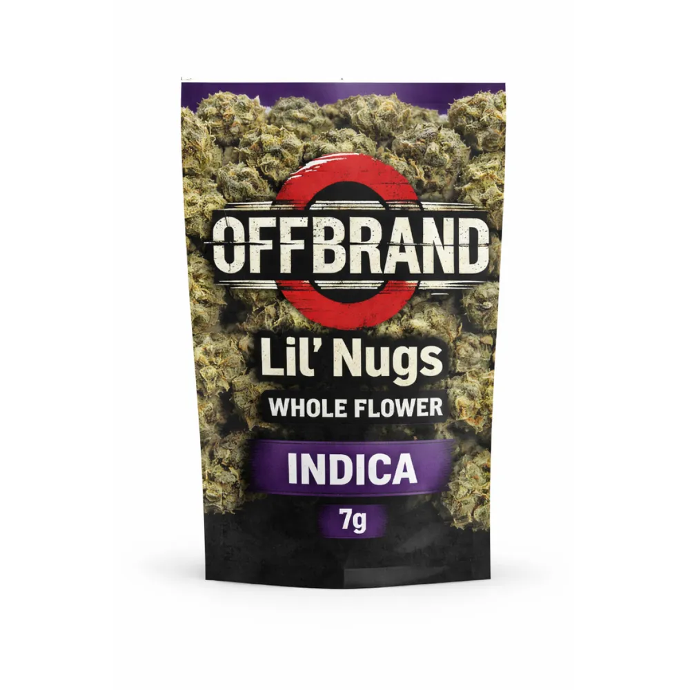 Glitter Bomb Little Nugs by Offbrand, flower