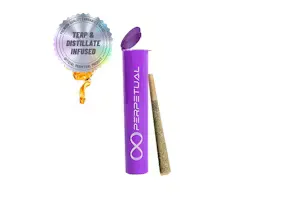 Blueberries Infused Pre-roll by Perpetual, pre-roll