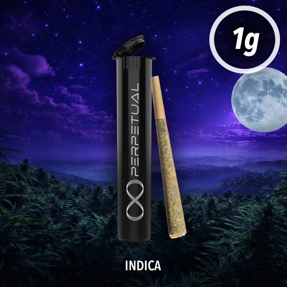 Orange Cookies Pre-Roll by Perpetual, pre-roll