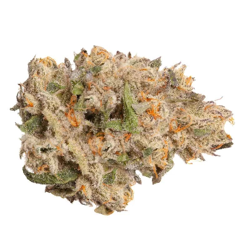 Pineapple Bang Bang #1 by Perpetual, flower