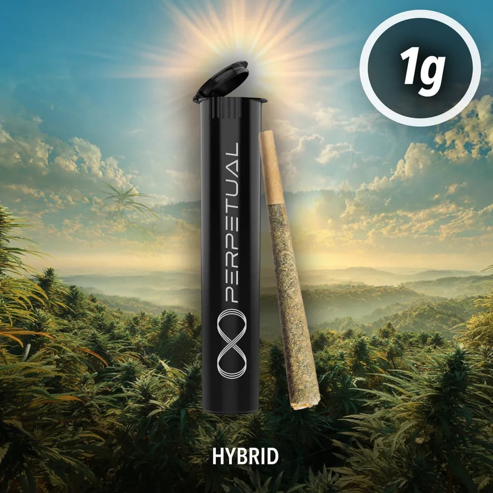 Raspberry Gelato Pre-roll by Perpetual, pre-roll