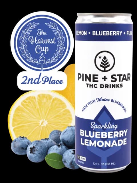 Sparkling Blueberry Lemonade by Pine + Star, edible