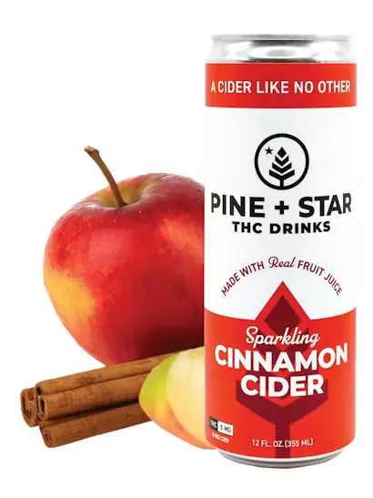 Sparkling Cinnamon Cider by Pine + Star, edible
