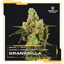 Granadilla by Realm, flower