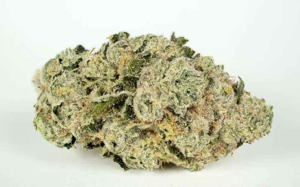 Brownie Scout by RYTHM, flower