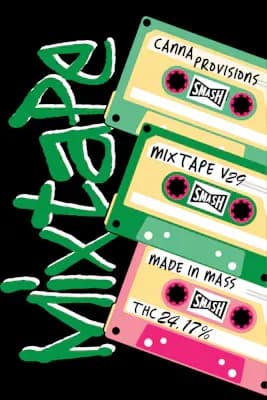 Mixtape Vol. 29 Pre-roll by Smash Hits, pre-roll