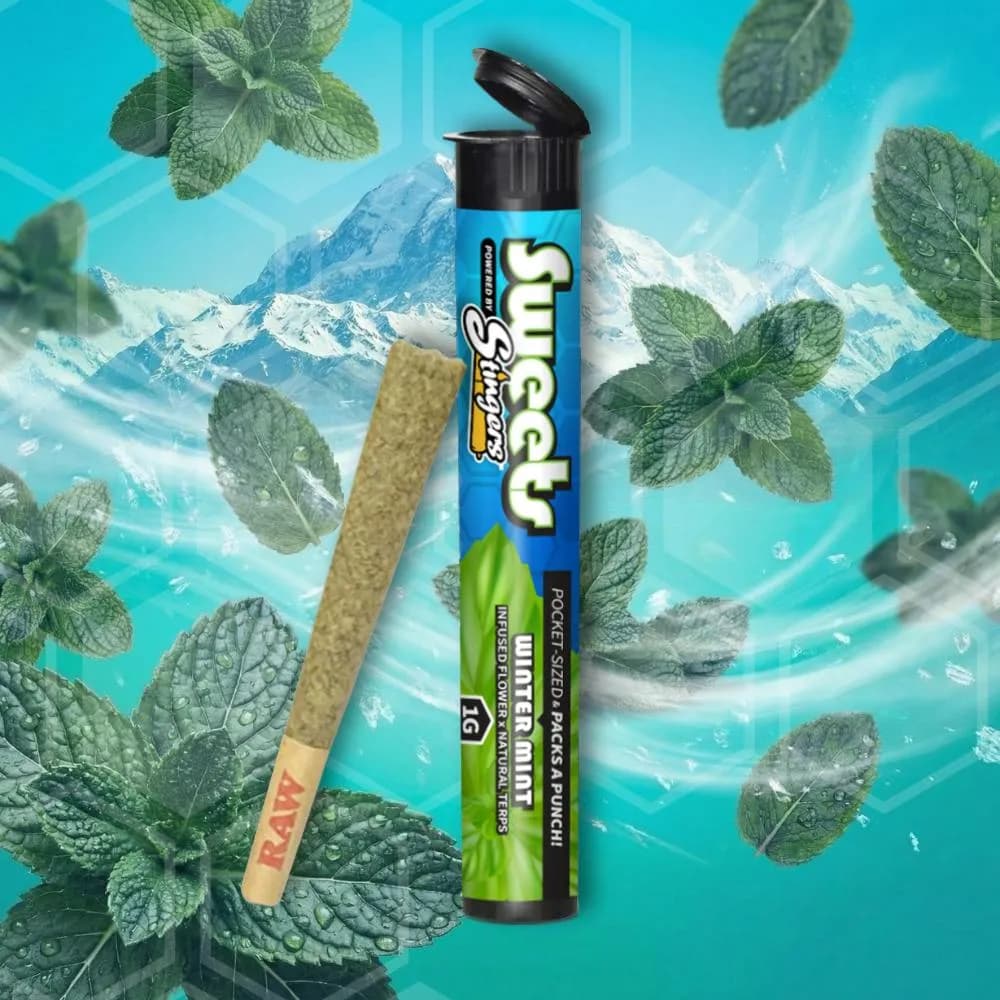 Winter Mint Infused Pre-roll by Stingers Sweets, pre-roll