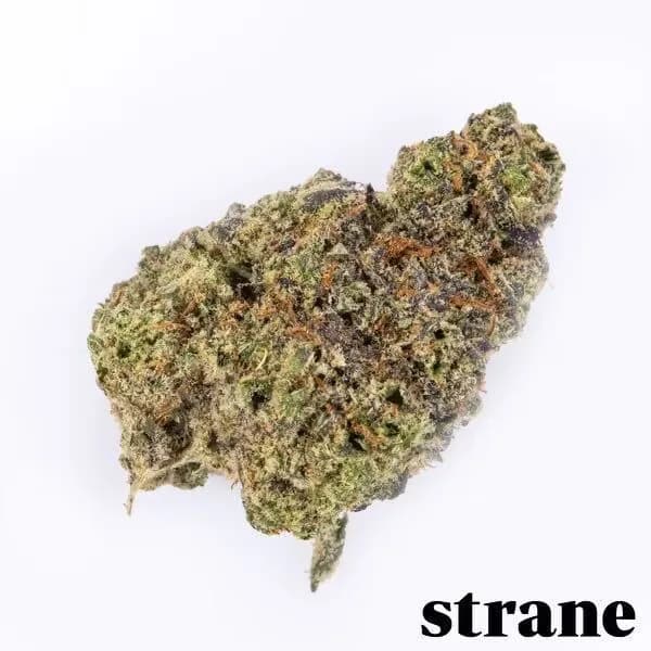 Alien Mints by Strane, flower