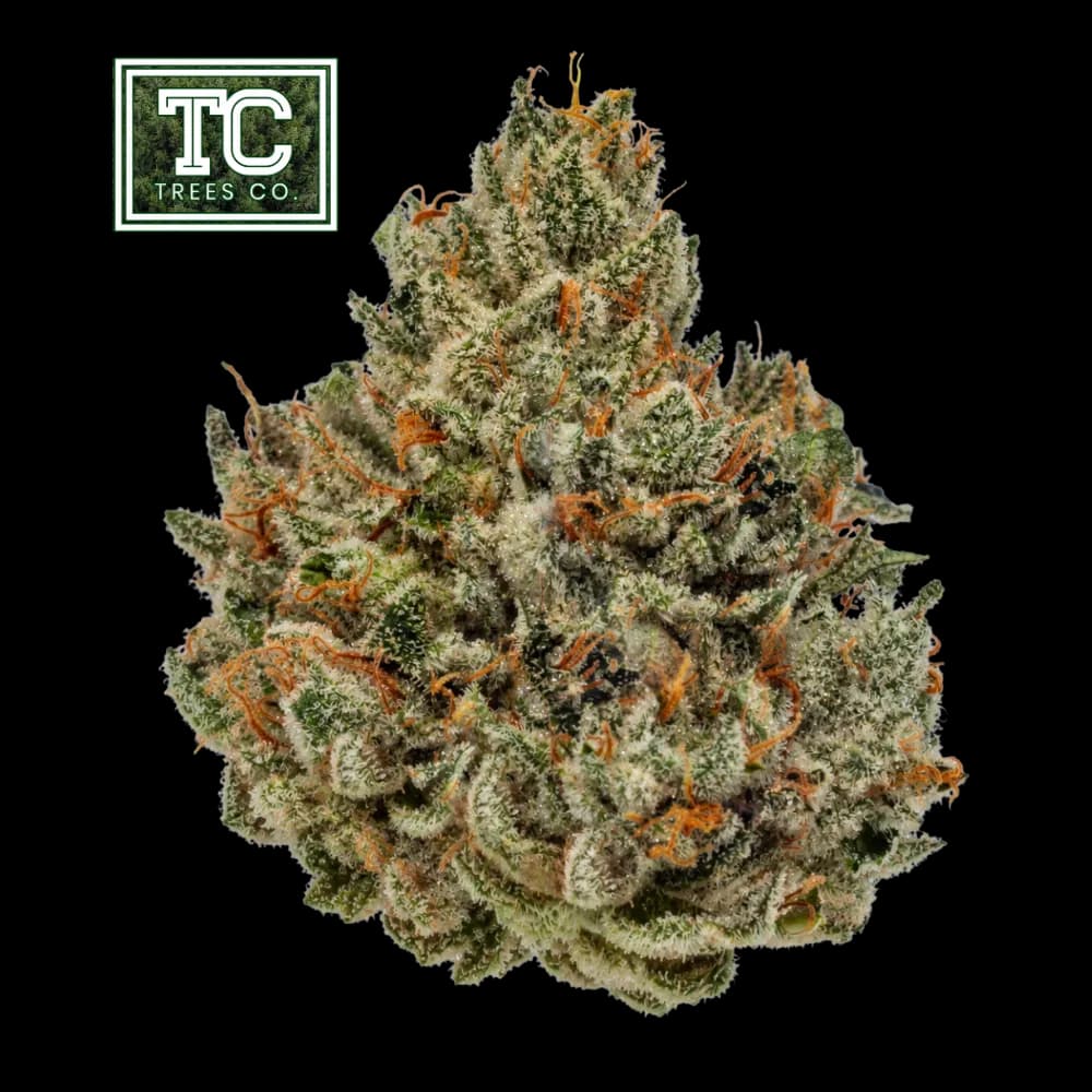 Alpine Sugar by Trees Co., flower
