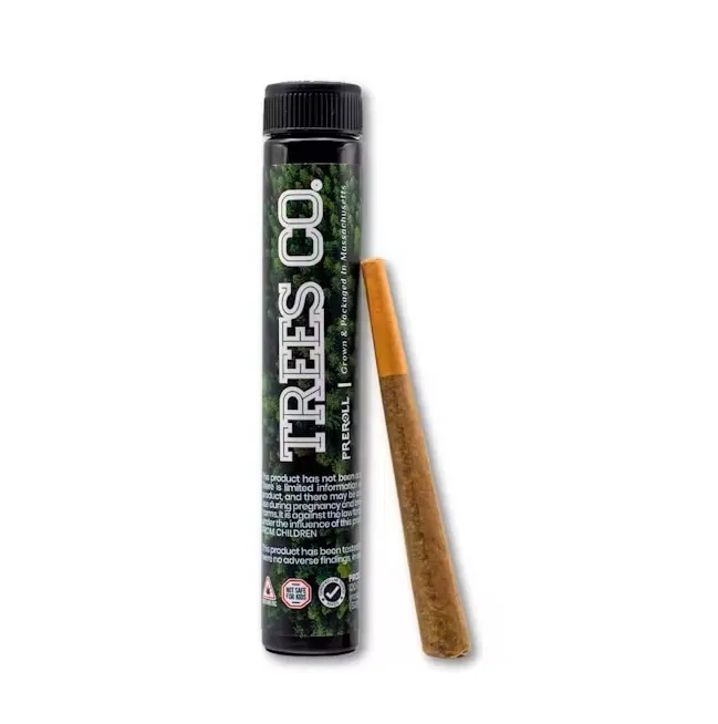 Garlic Runtz Pre-roll by Trees Co., pre-roll